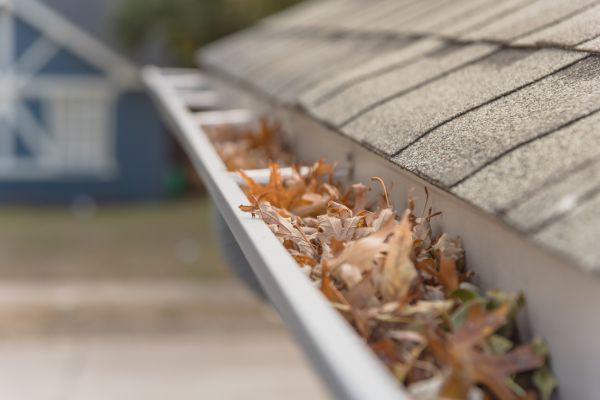 Leaf Barrier Installation in Post Falls